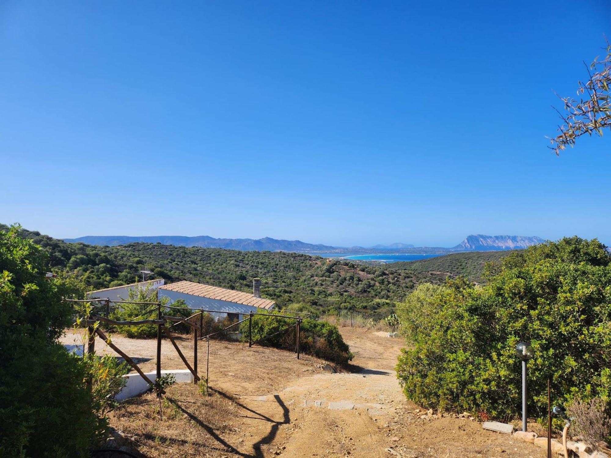 Agrustos Paradise بودوني المظهر الخارجي الصورة